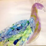 peacock-feathers-2